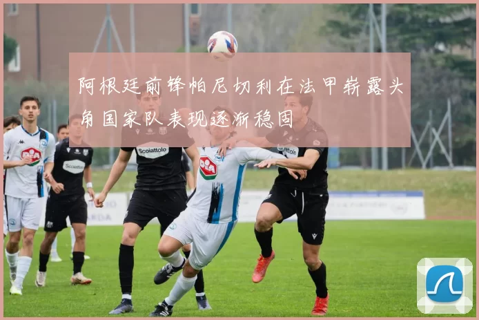 阿根廷前锋帕尼切利在法甲崭露头角国家队表现逐渐稳固