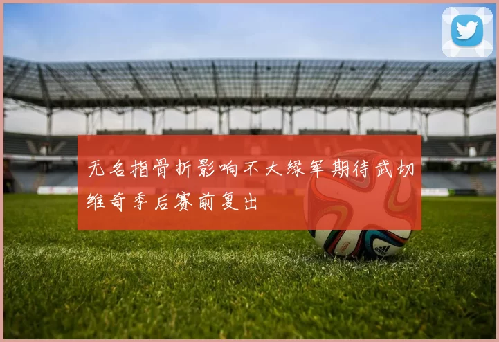 无名指骨折影响不大绿军期待武切维奇季后赛前复出
