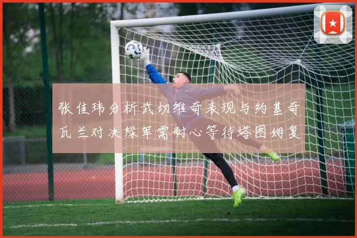 张佳玮分析武切维奇表现与约基奇瓦兰对决绿军需耐心等待塔图姆复出